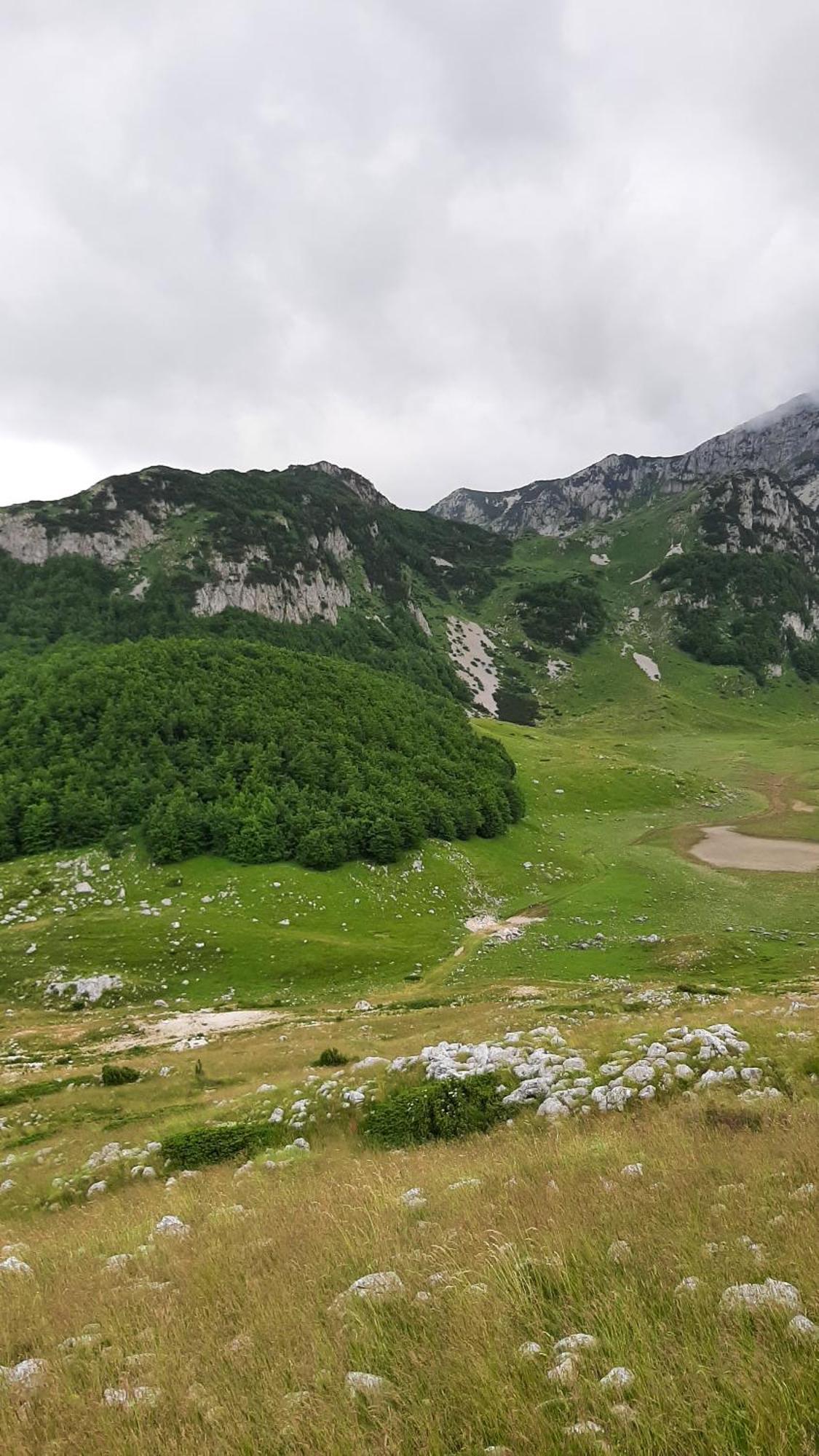 Apartments Durmitor Žabljak Esterno foto