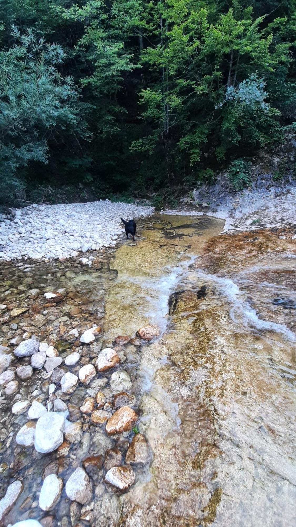 Apartments Durmitor Žabljak Esterno foto