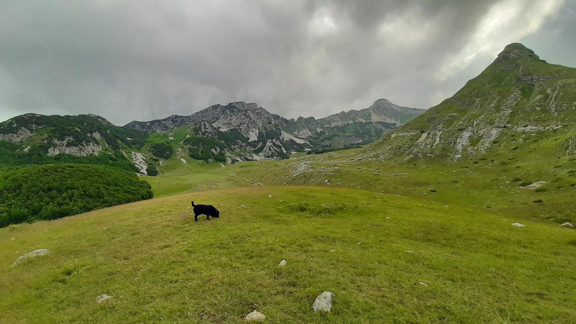 Apartments Durmitor Žabljak Esterno foto