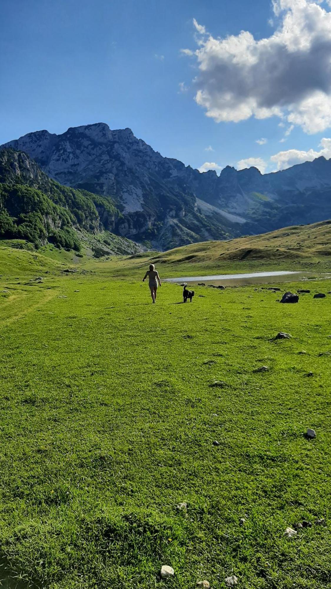 Apartments Durmitor Žabljak Esterno foto