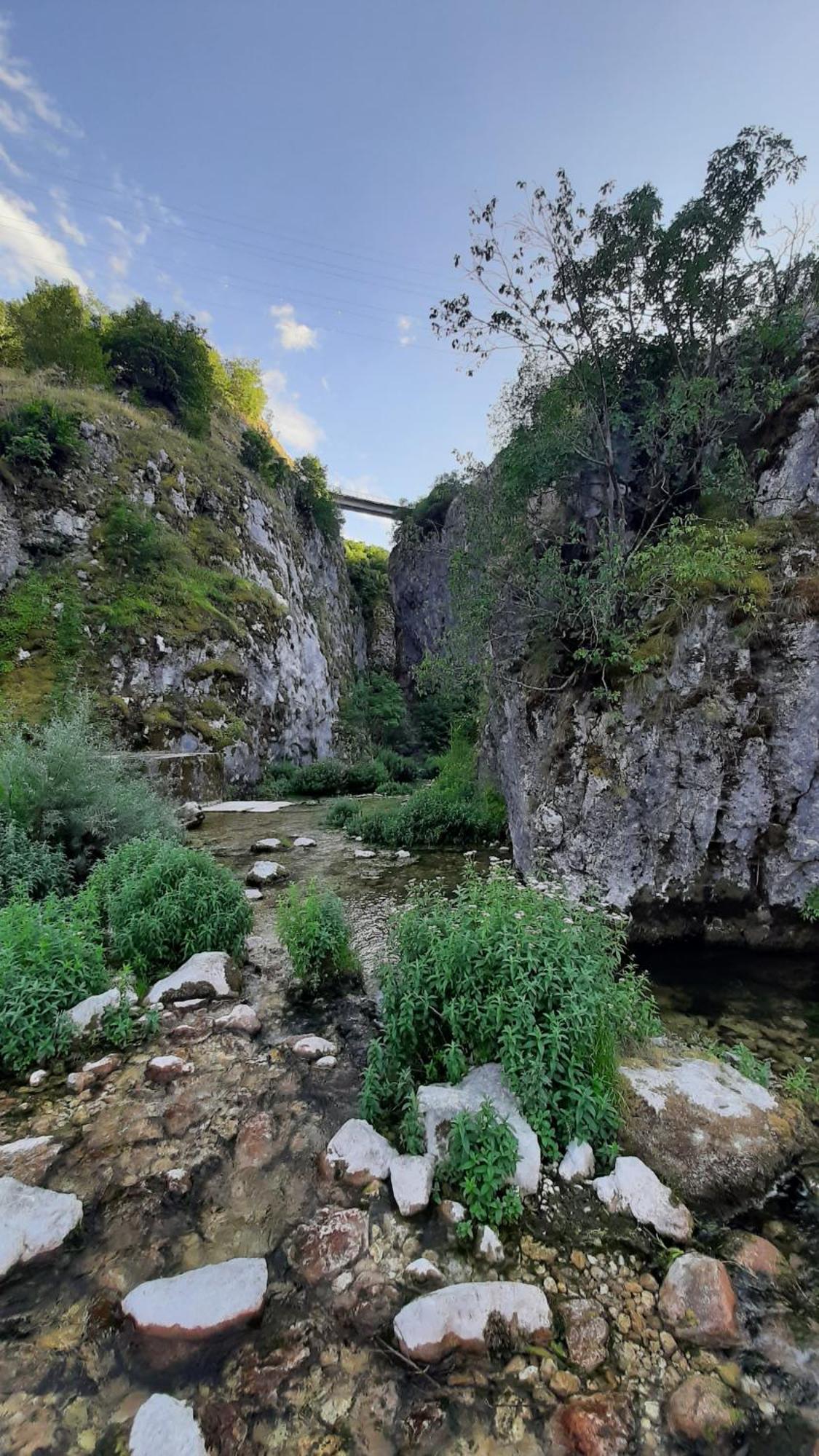 Apartments Durmitor Žabljak Esterno foto