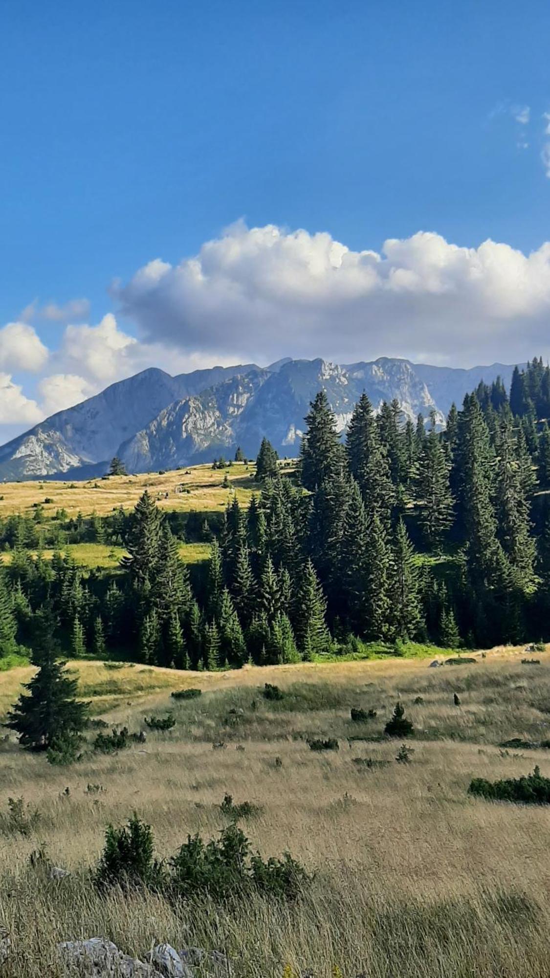 Apartments Durmitor Žabljak Esterno foto