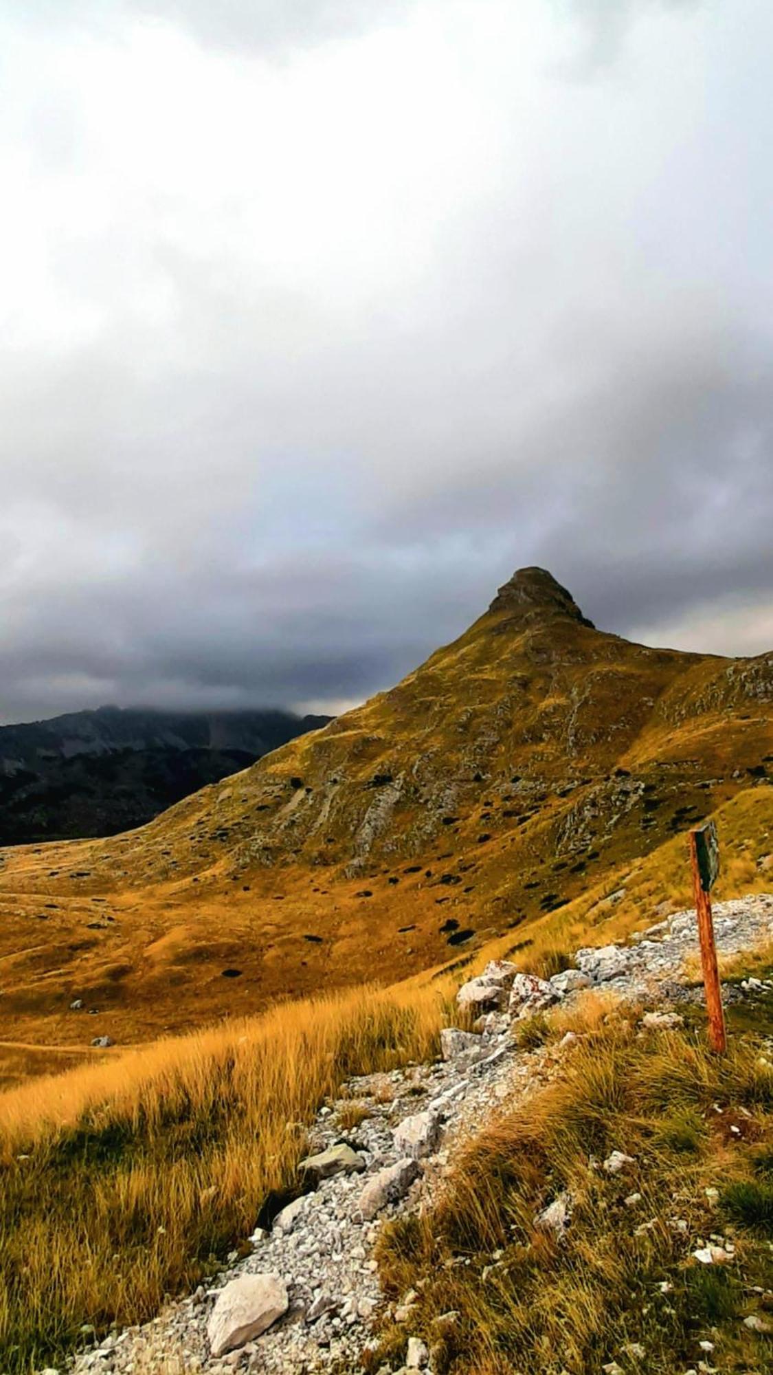 Apartments Durmitor Žabljak Esterno foto